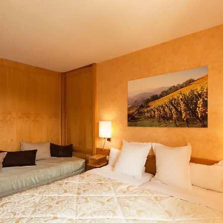 Western Hotel&spa Le Schoenenbourg Hotel Riquewihr