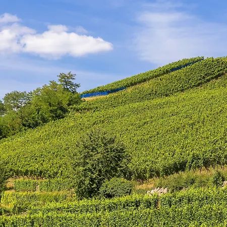 Western & Le Schoenenbourg 4* Riquewihr