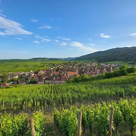 Western Hotel&spa Le Schoenenbourg Hotel Riquewihr