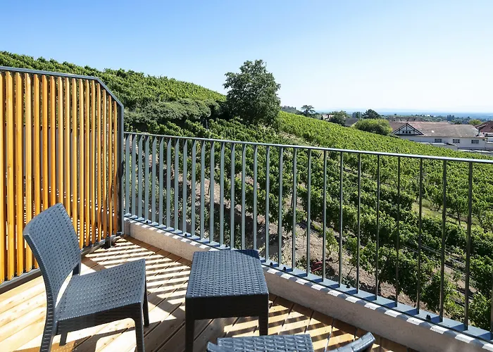 Western Hotel&spa Le Schoenenbourg Riquewihr